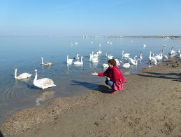 Наталья Петракова