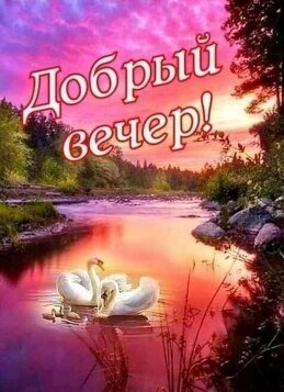 Добрый вечер!