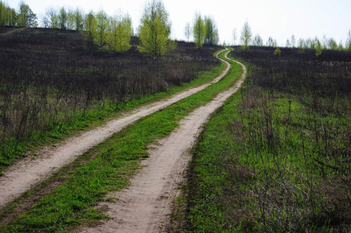 Эх, дороги... - НАТАЛЬЯ КАМАЙКИНА 