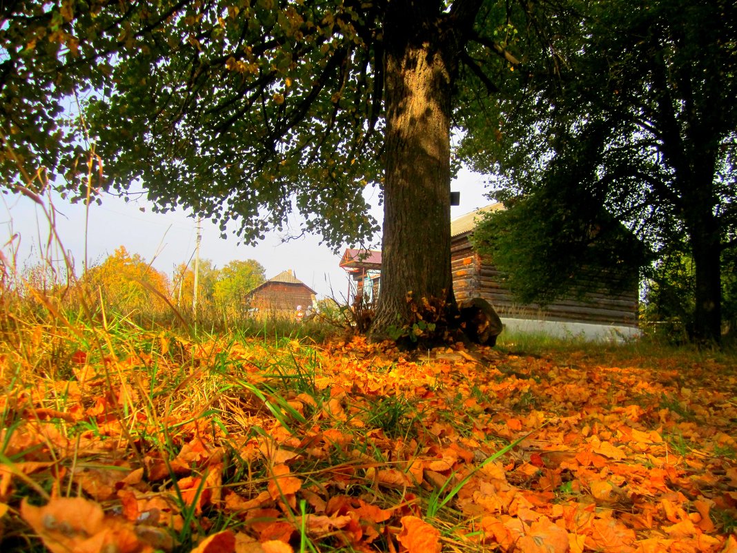 Осень в деревне... - Милагрос Экспосито