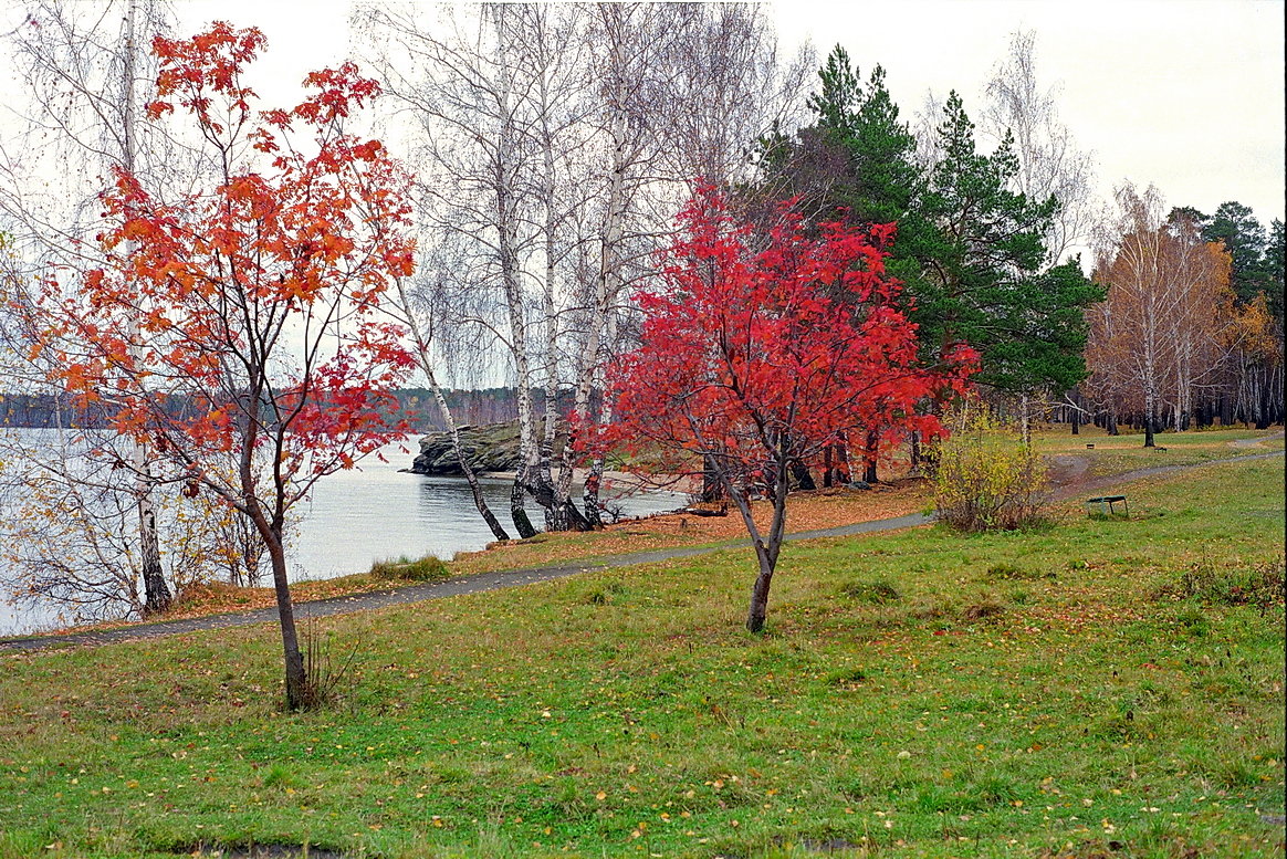 Осенние краски - Олег Васильевич 