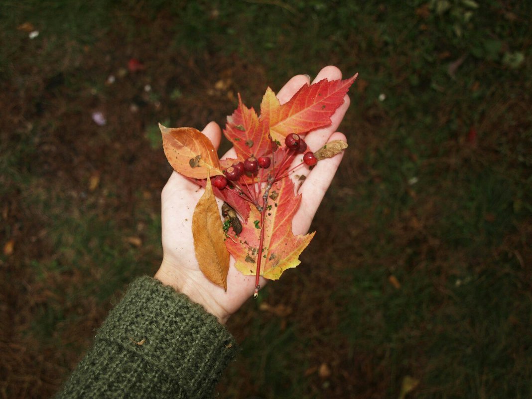 Automn in the hand - Дарья Зеевальд