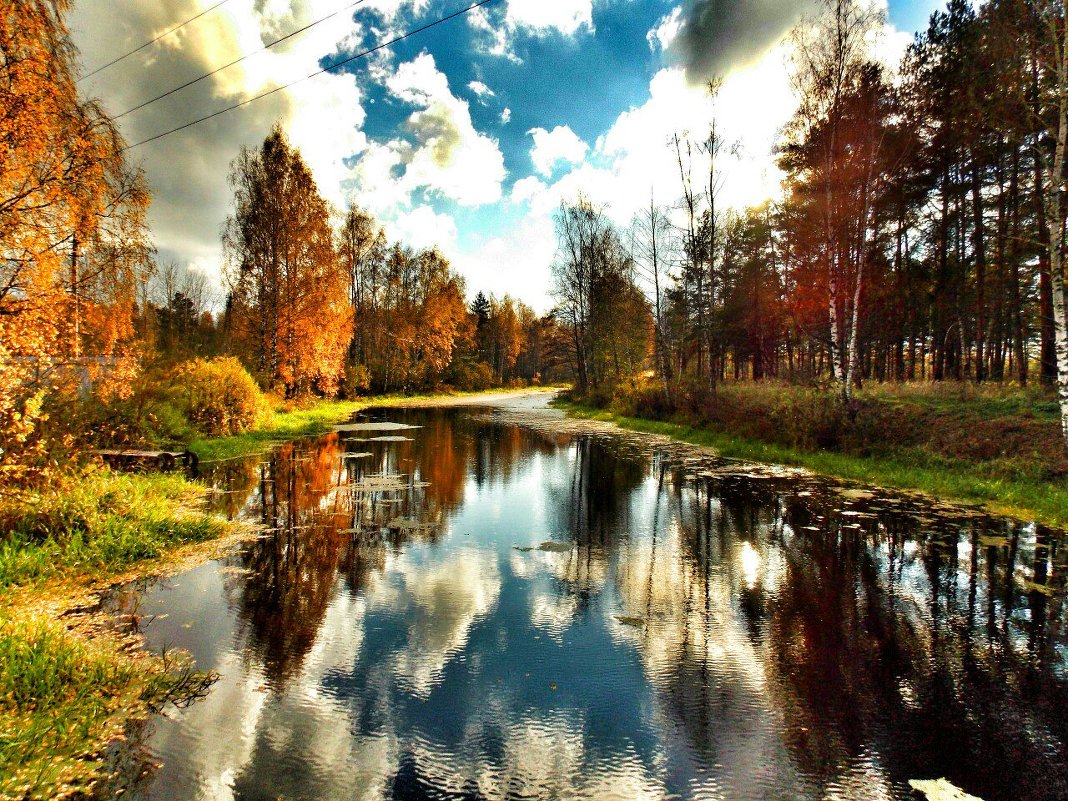 Осенний пейзаж - Наталья Бычкова