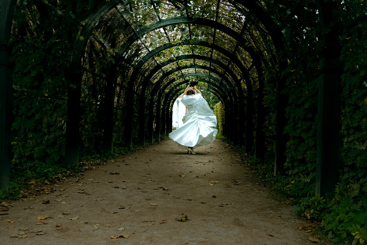 Танец невесты - Александра Кашина