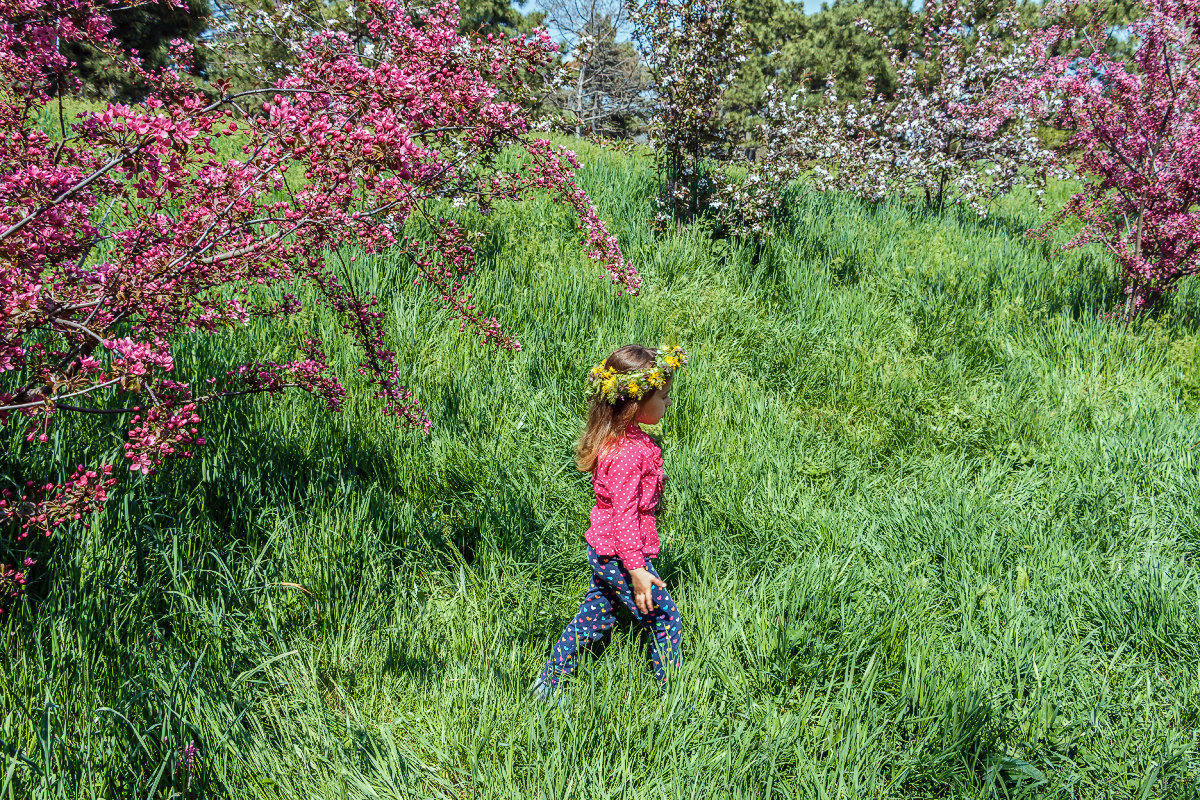 Весеннее гуляние в цветущих садах - Юрий Яловенко