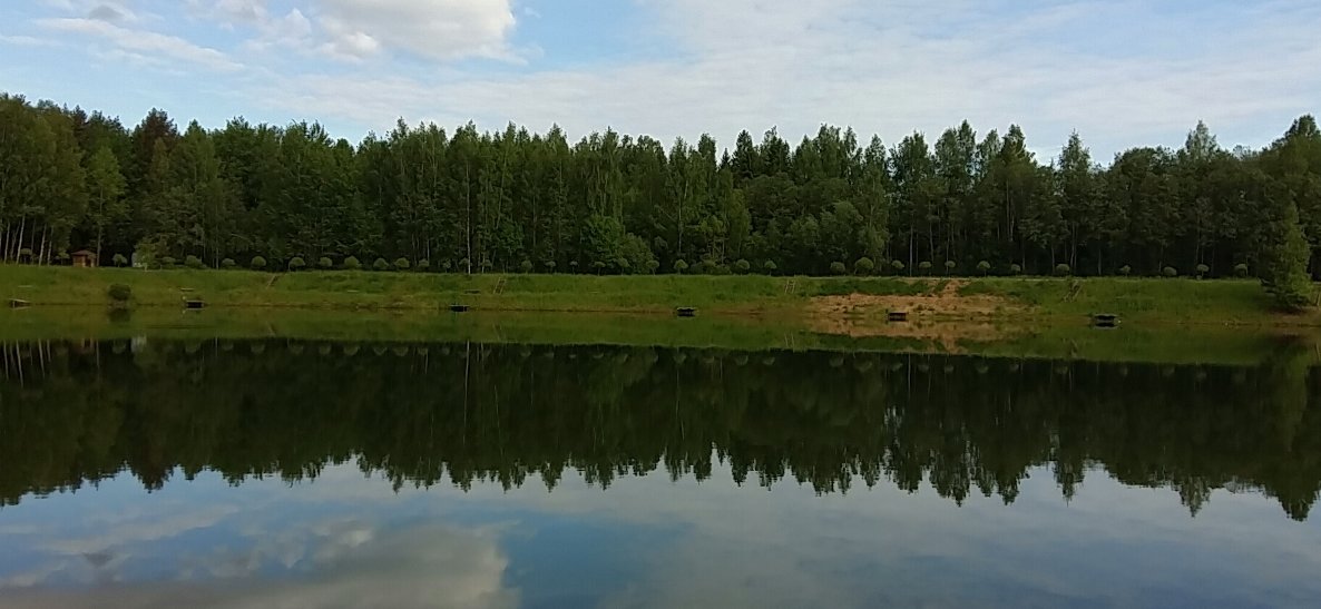 Лес в озере - Сергей М