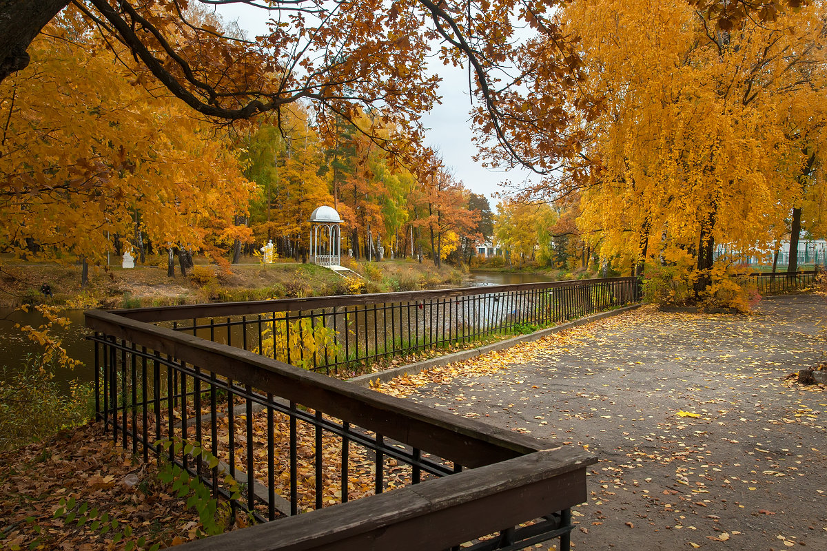 Осень в нашем парке - Владимир 