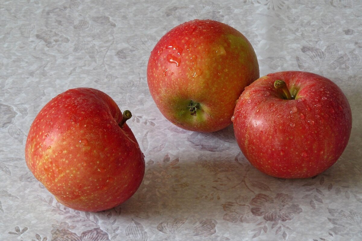Просто красивые яблоки - Татьяна Смоляниченко