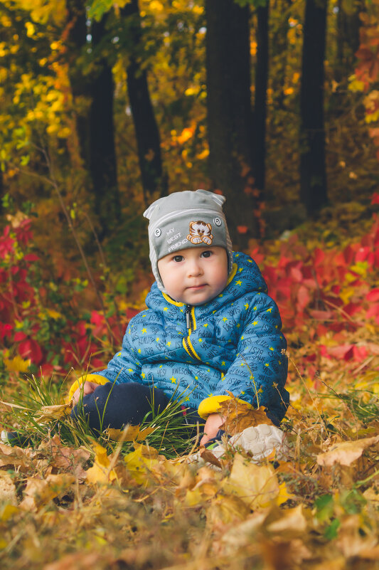 Малыш в осеннем лесу - Вячеслав 