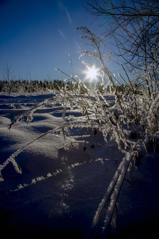 Блестя на солнце, снег лежит... - Александр Силинский