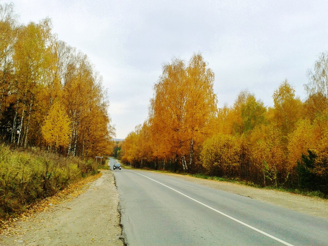 осень-прекрасно - Владимир 