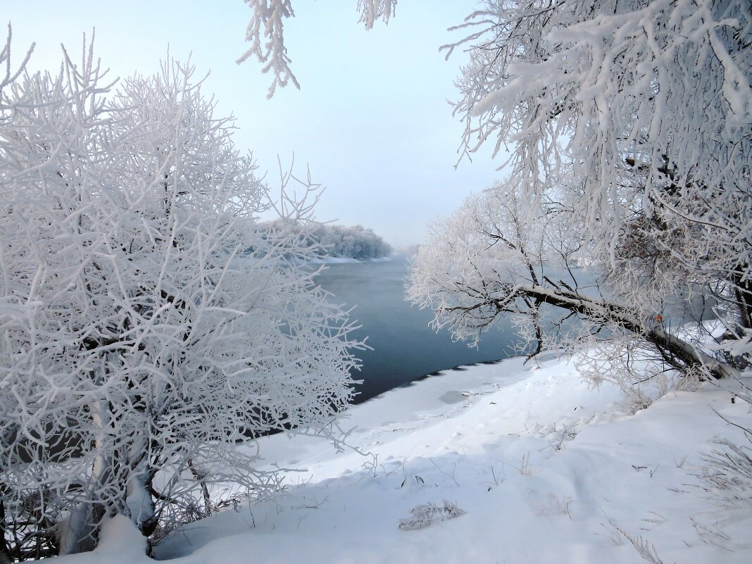 Волшебство зимы - Андрей Снегерёв