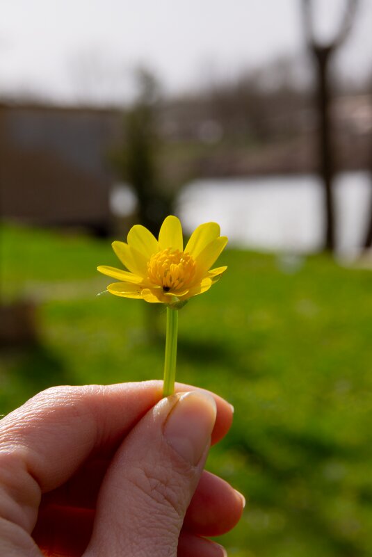 весна в одном фото - Светлана Поводырева