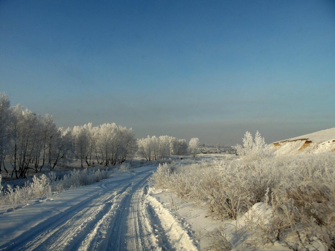 По дороге зимней,скучной... - nadyasilyuk Вознюк