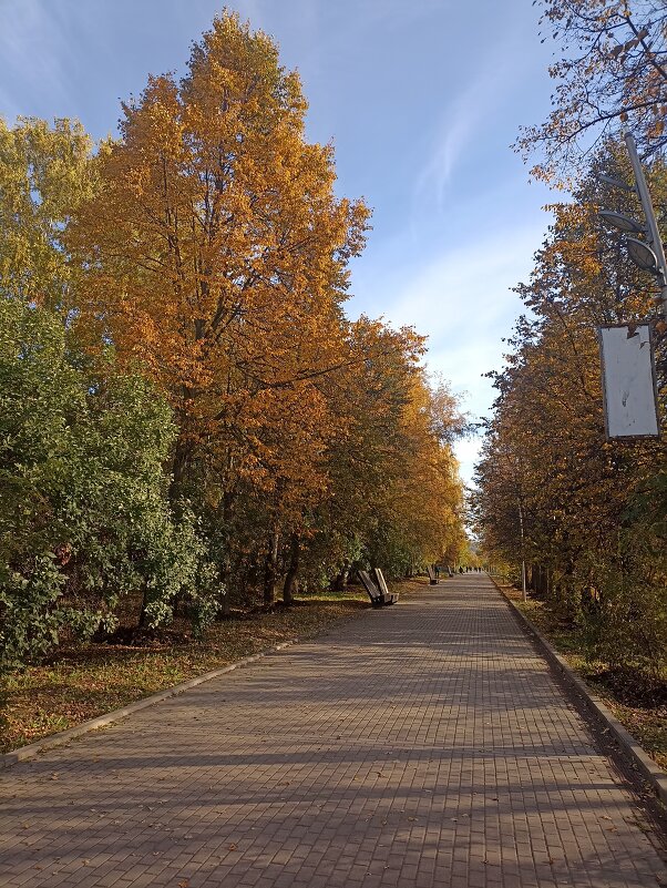 Городская осень - Наталья 