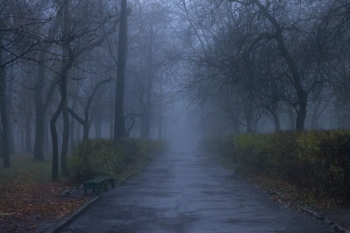 [Осенний туман] - Антон 