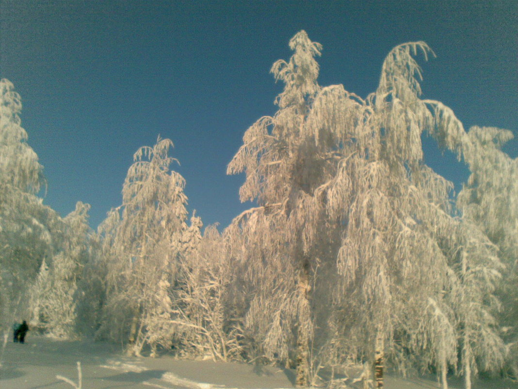 Зима в "городе" - Елена Меркушева