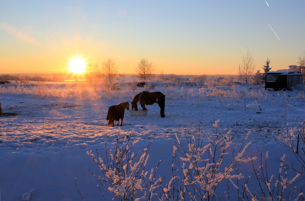 Пейзаж с лошадками - Aнна Зарубина