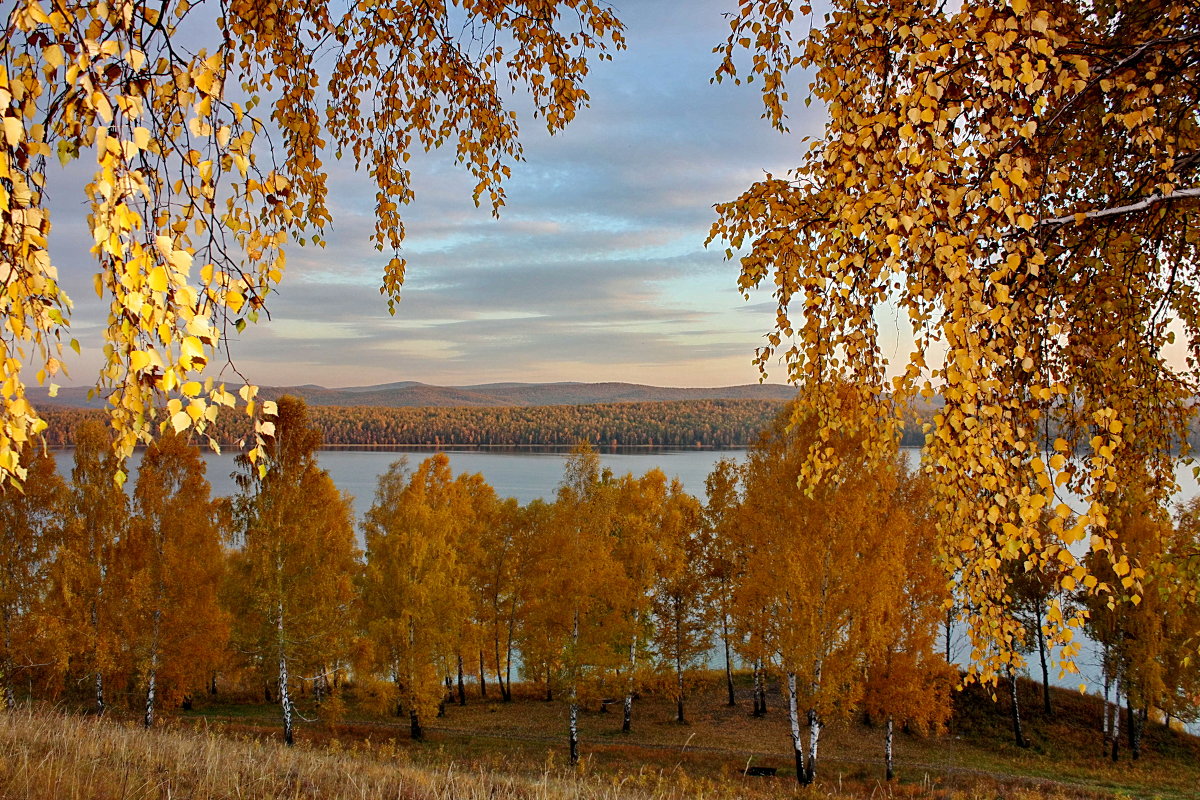 Золотая осень. - Наталья Юрова