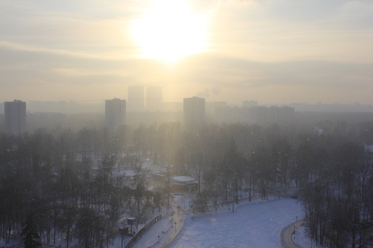 Городские тени - Ирина Овчинникова