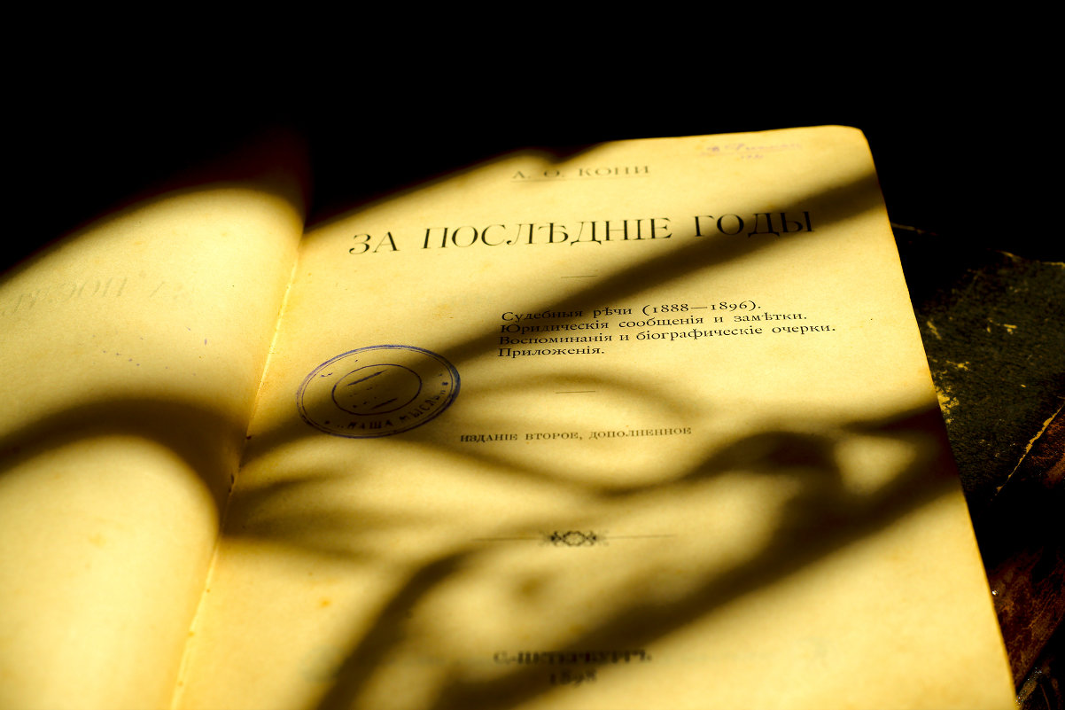 Тень и книга - Алексей Логинов