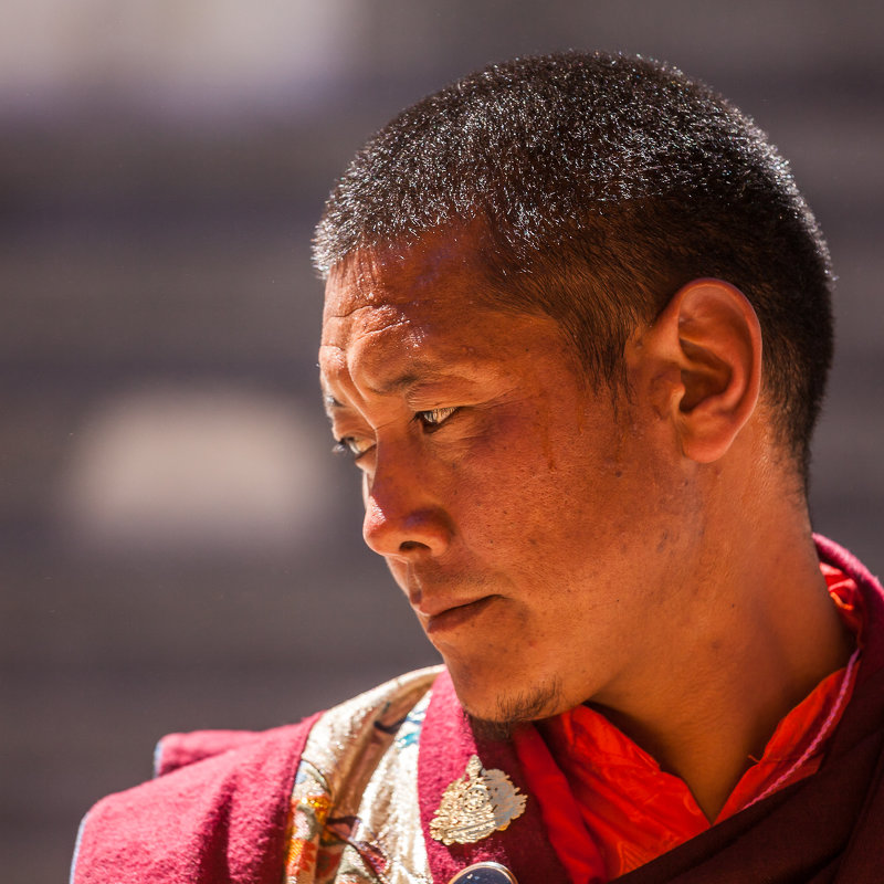 Тибетский монах - Алексей Соловьев