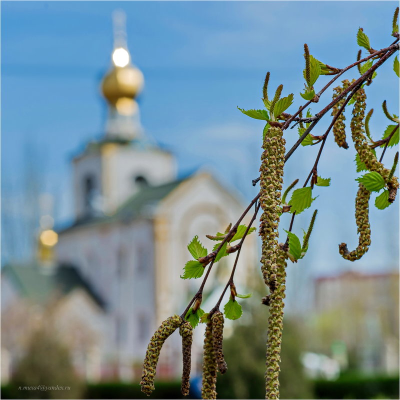 ... - Николай Мухачев