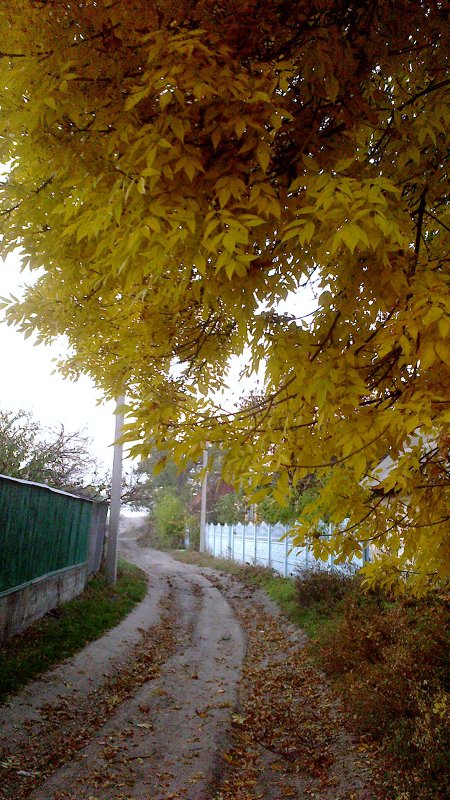 Чудесная осень - Людмила Глазкова