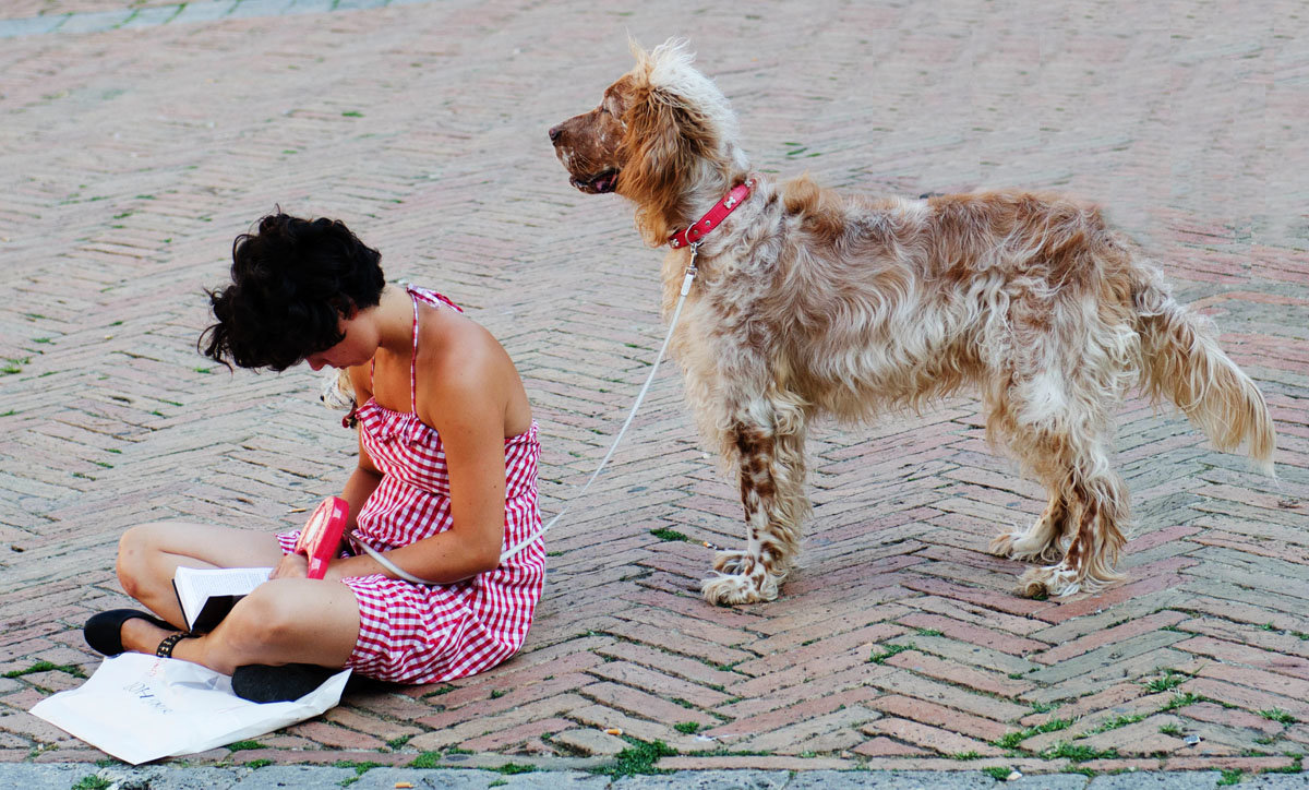 Девочка с собакой - Сергей Боцвинов