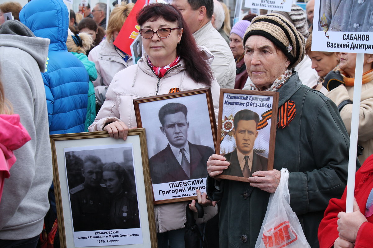 Бессмертный полк - Комаровских Владимир 