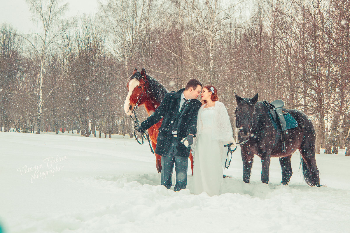 Зимняя свадьба - Виктория Тюкина 