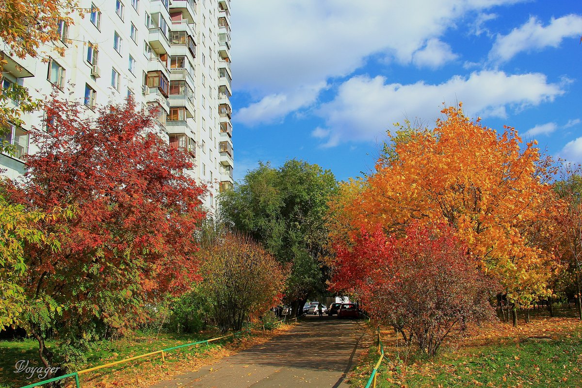 Москва. Новокосино - Voyager .