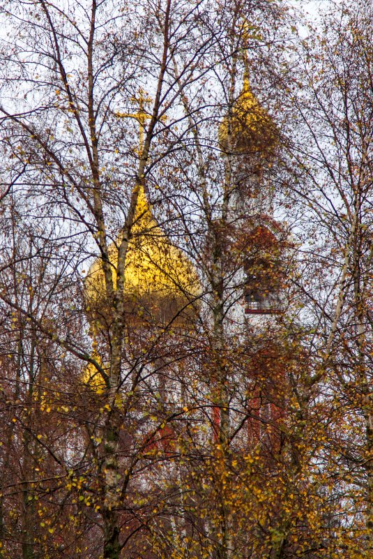 Золотая паутина осени - Олег Патрин