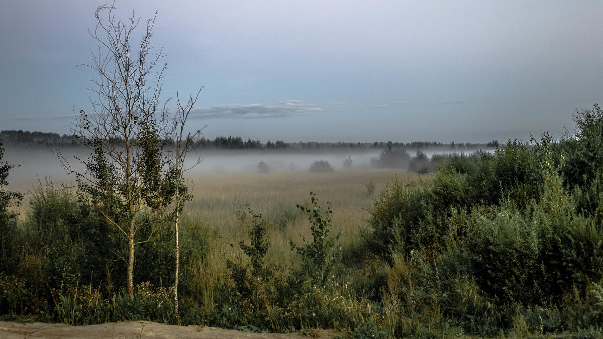 унылая пора.... - Рома Григорьев