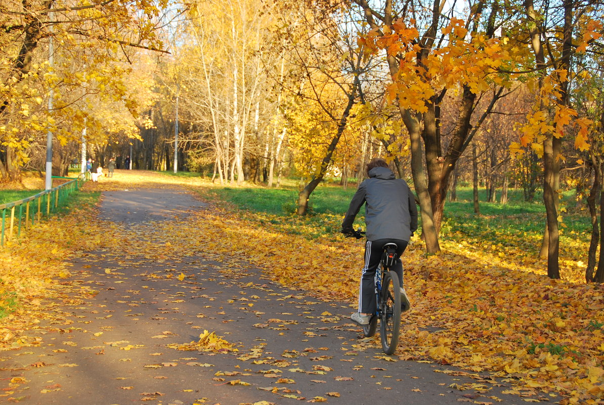 Велосипедист и золотая осень - Inessa ---