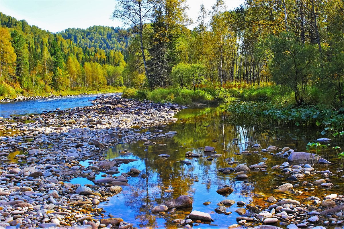 Звонкий осенний денёк - Сергей Чиняев 