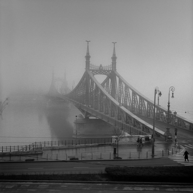 Мост. Будапешт. - Тимофей 