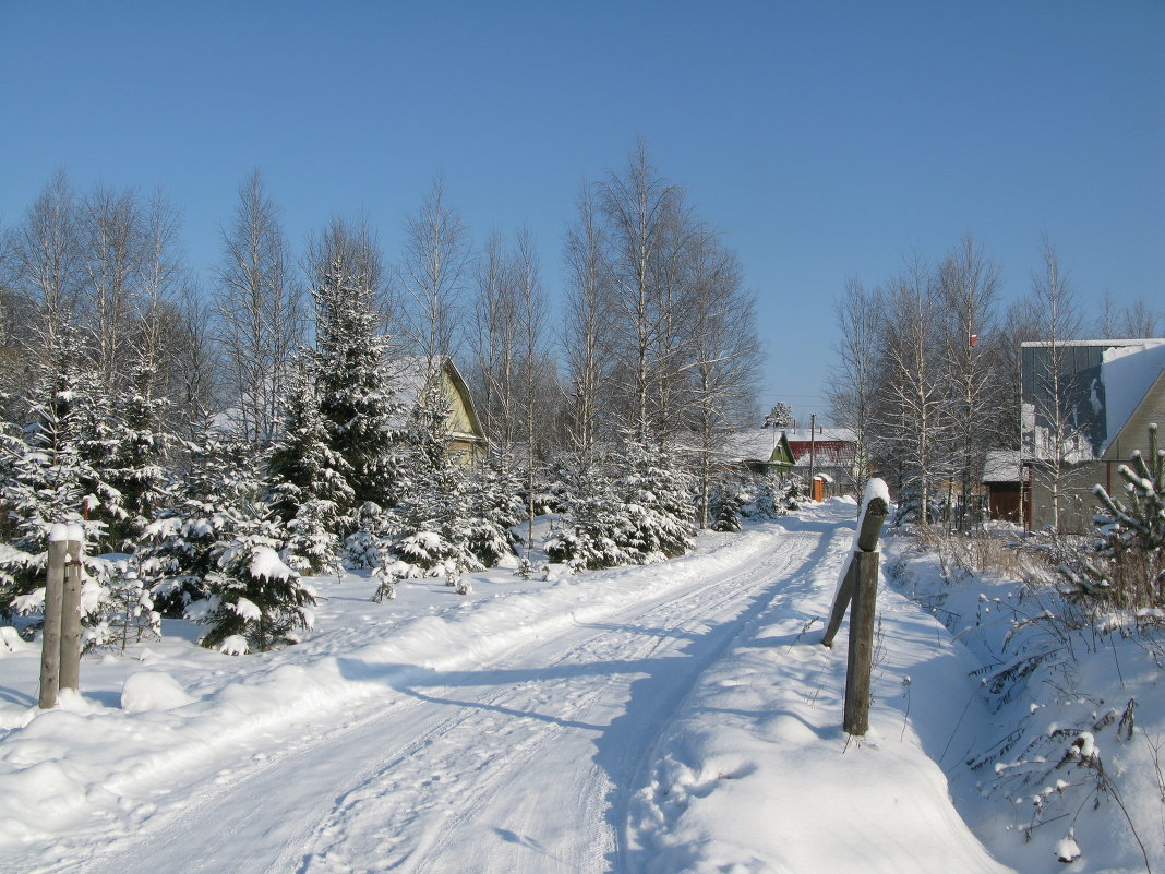 Зима - Сергей 