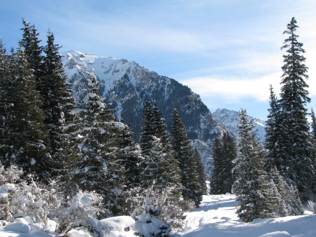 Зимний пейзаж - Валерия Кучина