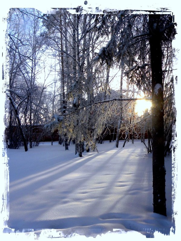 Зимняя прогулка - Оля Дубровкина