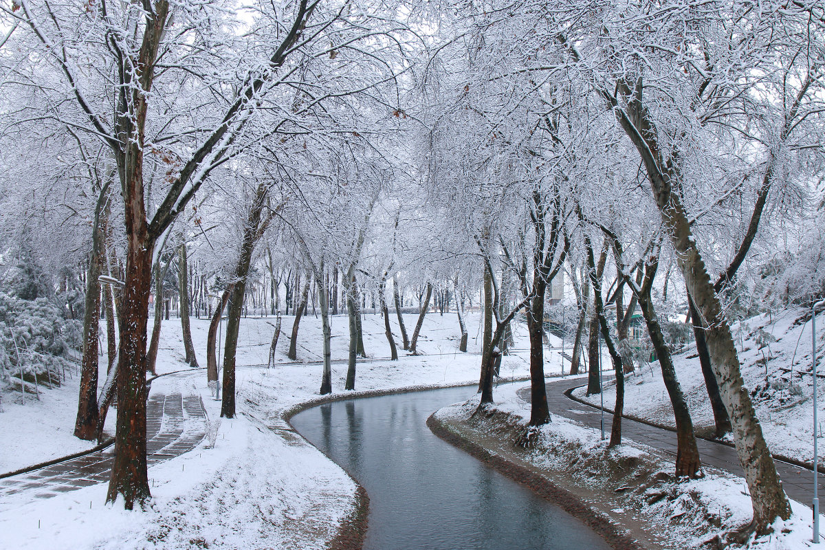 Зима в Ташкенте - Рустам Шорахимов