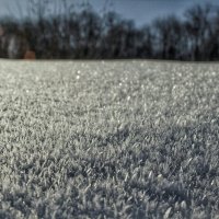 Снег-трава :: Алексей Медведев