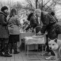 В парке :: Yuri Silin