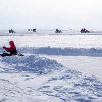 ... :: Светлана Шимчук