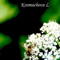 Пчелка!!! :: Любовь Космачева