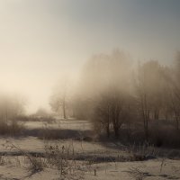 Зима. Утро. Туман. :: Роман Макаров
