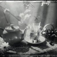 Весенне чаепитие :: Сергей Гайлит