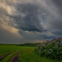 Дожди, дожди... :: Влад Никишин