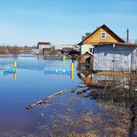 Весенняя стихия :: Виталий Житков