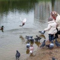 Знакомство с реальным миром :: Юрий 